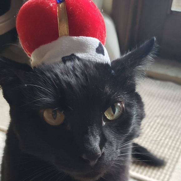 My Bebes! - Picture 11 of 15